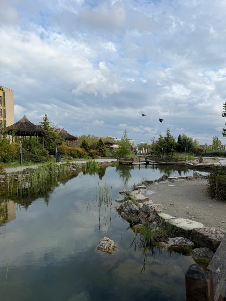Pond Excavation Contractors Cincinnatis